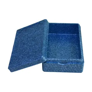 OEM High Durable Multi-impact Resistant Waterproof Insulating Recyclable EPP Packaging Boxes