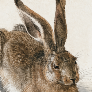 Reproducción famosa de Albrecht Dürer, Cuadro de Conejo, 40*50cm, Decoración para el Hogar, Arte de Pared en Lienzo - Product Image 3