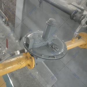 Reguladores de presión de accionamiento directo de 133L, sellos antichoque, ventilación de caja inferior, tornillo de ajuste, otras piezas de válvula - Product Image 5