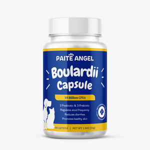 Complément Digestif pour Chiens et Chats en Gros : Complexe Prébiotique, Postbiotique et Probiotique 10 Milliards UFC – Poudre et Capsules pour Affirmer les Selles - Product Image 6