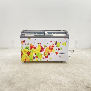 Congélateur coffre commercial à double porte, grande capacité, pour supermarché, horizontal, profond - Product Image 2