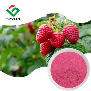 天然ラズベリーフルーツ25%ブラックラズベリーエキス粉末オーガニックラズベリーパウダー - Product Image 2