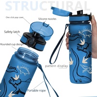 Bouteille d'eau portable en plastique réutilisable de 750 ml, anti-fuite, avec motif dinosaure peint à la main, pour loisirs, sport et rentrée scolaire, à ouverture rapide (un bouton)
