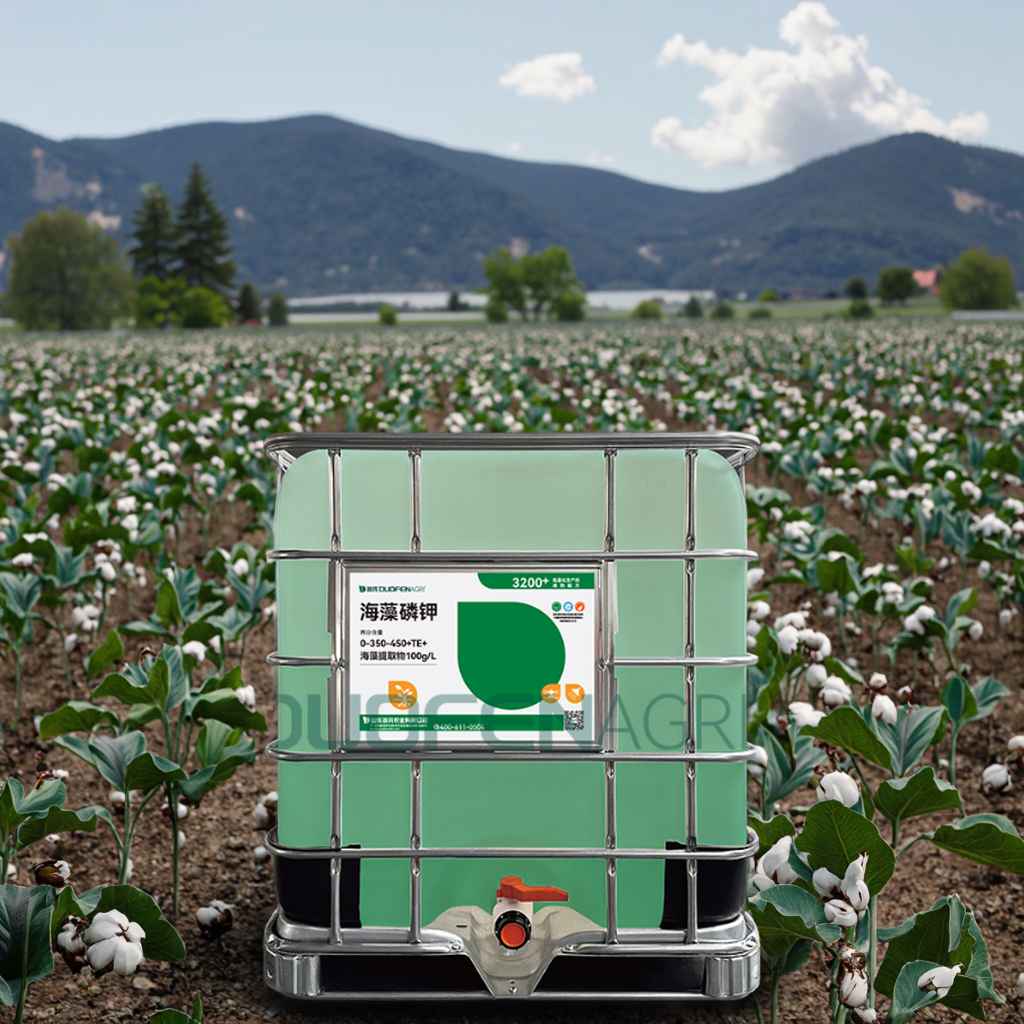 Seaweed PK Liquid Fertilizer 0-350-450 for Cotton Wholesale