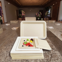 Assiettes jetables carrées de bagasse de qualité supérieure de nouveau style pour restaurant et hôtel de fête
