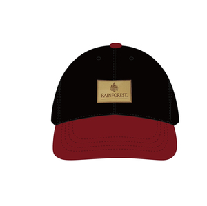 Gorra de béisbol de algodón multicolor de 6 paneles personalizada para exteriores, nuevo diseño, gorra deportiva para mujeres y hombres, ala curva, estilo callejero - Product Image 6