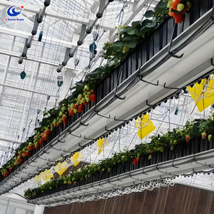 Bac de culture électrique surélevé pour serre - Gouttière de culture réglable pour la culture de fraises et de tomates - Product Image 6