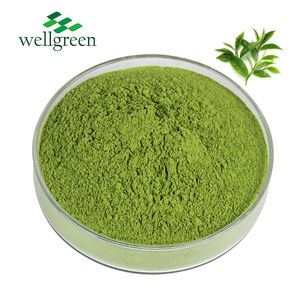 Extracto de té verde de alta calidad Solubilidad en agua de grado alimenticio Polvo de té verde Matcha - Product Image 1