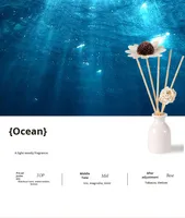 Vente chaude Lavande Sans Flamme Écologique Aromathérapie Ensemble Personnalisable Verre En Céramique Huile Essentielle Diffuseur Boîte Cadeau Parfum