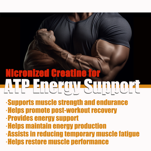 OEM ODM High Quality 500g <strong>Creatine</strong> Monohydrate Powder Wholesale for Global Sports Nutrition Brands Dietary Supplement - Product Image 2