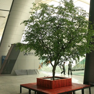 Precio de fábrica de plástico grande árbol Artificial <span class=keywords><strong>Bonsai</strong></span> Ficus de la estación - Product Image 1
