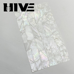 HIVE Wholesale Exquisite Pure Natural Paua Mother Pearl Abalone <strong>Shell</strong> Sheet Decorative White <strong>Shell</strong> Paper for Guitar Decoration - Product Image 3
