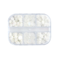 Kit de Breloques pour Ongles TSZS 2026, Fleurs de Camélia 3D Blanches Mixtes, Perles et Chaînes Métalliques, Décoration d'Ongles en Résine Style Français Élégant