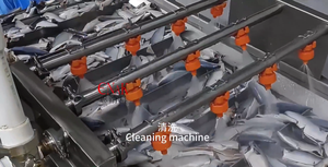 เครื่องตัดหัวหางปลาแอนโชวี่แบบพิเศษพร้อมระบบป้อนอัตโนมัติสำหรับสายการผลิตปลากระป๋อง - Product Image 6