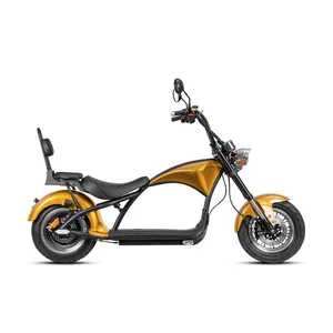 CE EEC Citycoco avrupa 2 geniş lastik elektrikli scooter citycoco 2000w yetişkin elektrikli bisiklet scooter