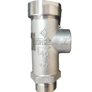 Válvula de Seguridad Dn25 40 Bar Roscada para Uso con Nitrógeno Líquido, Material CF3 - Product Image 4