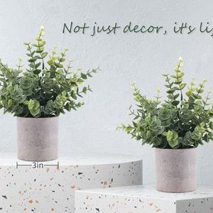 C308 Plante artificielle Eucalyptus <span class=keywords><strong>Romarin</strong></span> Plantes en pot pour la décoration intérieure et extérieure Bonsaï Plante verte artificielle - Product Image 2