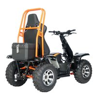 Quad électrique tout-terrain 6000W 60V 50Ah homologué CE pour la chasse, la patrouille et les déplacements sur les dunes