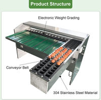 Machine de tri automatique des œufs, des fruits et des légumes fabriquée en Chine, en acier inoxydable 304, capacité de 10 000 unités