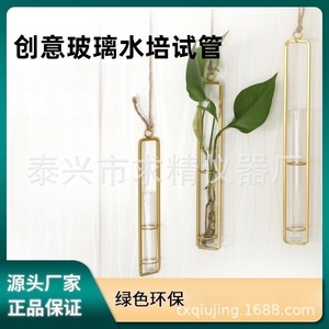Wall Vase Glass Hydroponic Tube Cylinder Metal <b>Frame</b> Hanging Plant Display Modern Farmhouse Style - Product Image 5