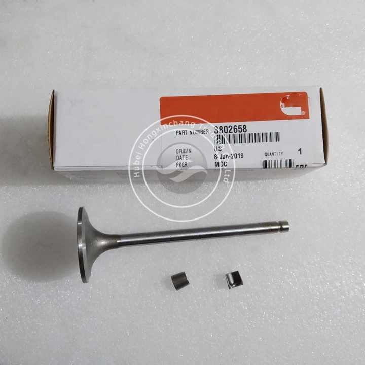 6BT5.9 Natural Gas Engine Parts Intake Valve 3922713 3802658 