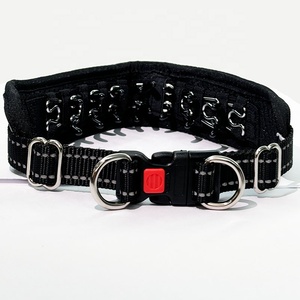 <span class=keywords><strong>Collar</strong></span> de Perro Personalizado de Acero Inoxidable 306 con Liberación Rápida y Pinza de Estrangulamiento Desmontable para Entrenamiento de Mascotas - Product Image 3