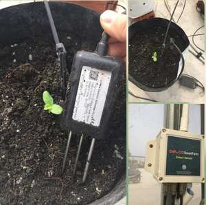 Sensor de Medición de Humedad y Temperatura del Suelo RIKA RK520-01 de Alta Calidad y Precisión Industrial para Jardín, Lorawan RS485, FDR - Product Image 2