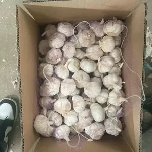 <span class=keywords><strong>Ajo</strong></span> Fresco Blanco Puro de Alta Calidad Chino, Saludable, Perfecto para Cocinar, en Bolsa de Malla para Venta en el Mercado - Product Image 6