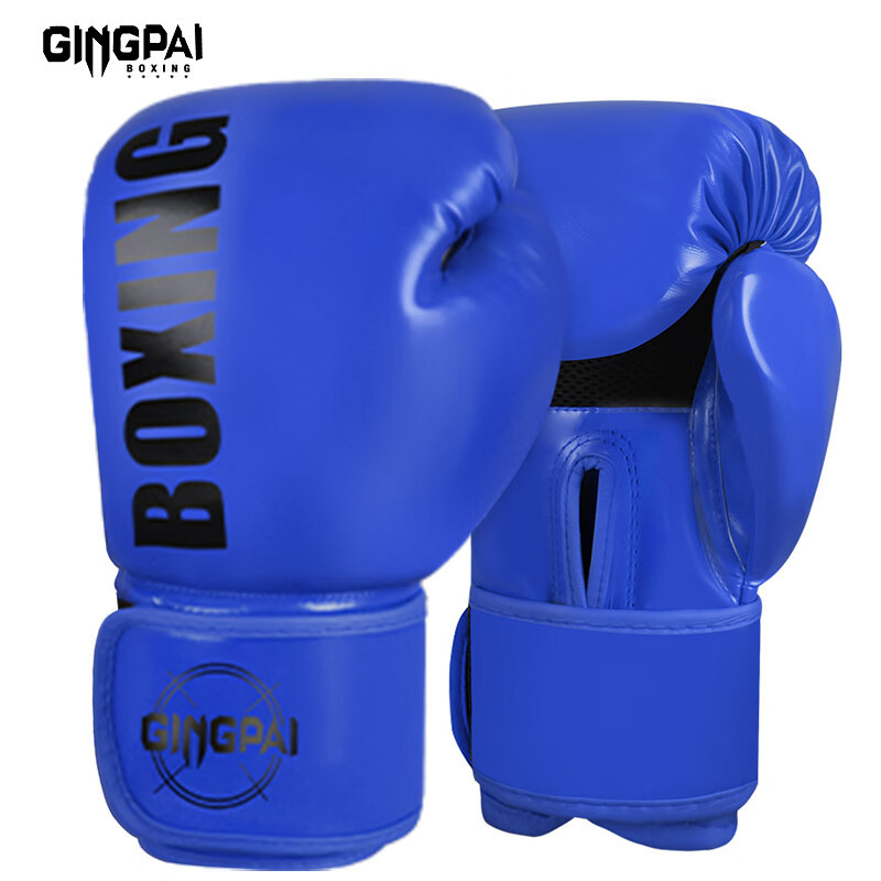 Gp boxing  blue