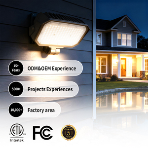 IP65 không thấm nước ngoài trời chất lượng cao cấp dẫn ánh sáng Lũ lụt 30W <span class=keywords><strong>50W</strong></span> 100W dẫn ánh sáng Lũ lụt với 0-10V Dimmable - Product Image 1