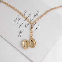 Collier pendentif médaillon photo céleste plaqué or 18 carats, ajustable, pour bijouterie personnalisée, vente en gros, bijoux à breloques, cadeau