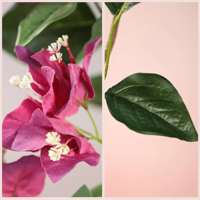 Fleurs artificielles en caoutchouc Bougainvillier pour la décoration d'événements en plein air, toucher réaliste, résistant aux UV, décoration de hall d'hôtel
