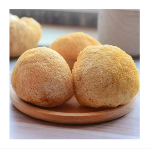 Alta Qualidade Deep-Mountain Hericium Erinaceus Secas Grandes Cogumelos Cocklebur Fresco Raw <span class=keywords><strong>Shiitake</strong></span> Fungo Extrato De Planta Inteira - Product Image 3