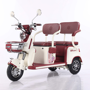 Transport 1000W <span class=keywords><strong>roue</strong></span> spéciale 3 roues adultes tricycles électriques vélo motorisé scooters de mobilité pour l'utilisation de la cargaison - Product Image 1