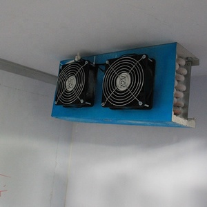 Ice Cream Bike Tricycle Ice Merchandiser Outdoor <span class=keywords><strong>Cargo</strong></span> Carburant Power Freezer 0 ~-22 Gelato Cart With Cooling System - Product Image 6