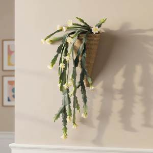 <span class=keywords><strong>Cactus</strong></span> Epiphyllum Artificiale da Parete <span class=keywords><strong>in</strong></span> Vaso Conico Intrecciato, Decorazione di Orchidea <span class=keywords><strong>Cactus</strong></span> Finta Pendente - Product Image 6
