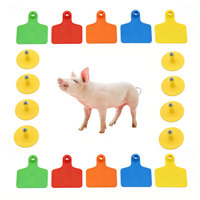 Etiquettes d'oreille personnalisables YUEDUN pour porcs, neuves, pour élevages, avec garantie de 3 mois, YDES014, étiquette d'oreille pour porcs