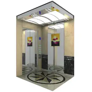 Nuevo elevador de pared de espejo residencial alemán más vendido Elevador 600kg para edificio de 10 pisos