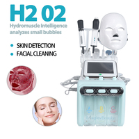Appareil de microdermabrasion Hydra Dermasrai pour le visage, soin du visage à jet d'eau Hydra H2O2 et peeling au diamant, prise AU