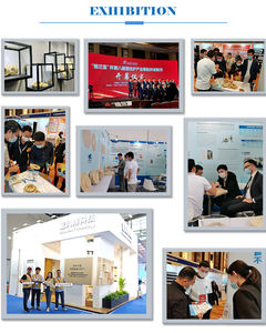 Bluewind Calefacción central automática de agua <span class=keywords><strong>Chimenea</strong></span> doméstica independiente <span class=keywords><strong>Chimenea</strong></span> 10kW Estufa de leña interior moderna - Product Image 6