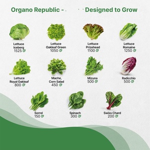 Paquet de 22 variétés de truies à salade Heirloom sans OGM pour jardin intérieur et extérieur comprenant une roquette pour laitue <span class=keywords><strong>suisse</strong></span> comme plancher - Product Image 3