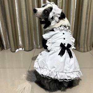 थोक मध्यम बड़े 3xl कुत्ते स्कर्ट नौकरानी कपड़े गोल्डन रिट्रीवर प्रीमियम पालतू पोशाक - Product Image 2