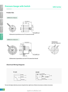 Đo áp suất với chuyển đổi chỉ số ánh sáng, dễ dàng đọc thiết bị bảo vệ Grs loạt - Product Image 5