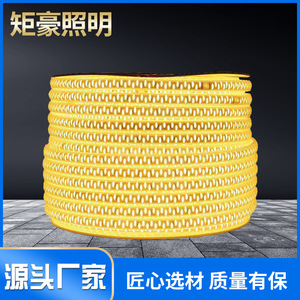 Led đầy màu sắc thông minh dải đèn không thấm nước Neon nhấp nháy đèn cho đua ngựa Home/Trần/trang trí ngoài trời chảy nước - Product Image 2