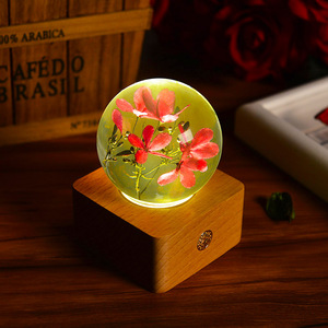 Có Thể Sạc Lại Điện Không Dây Pha Lê Loa Rắn Gỗ Cơ Sở Ánh Sáng Ban Đêm Phòng Trang Trí Lễ Hội Quà Tặng Trang Trí Nội Thất Đèn - Product Image 1