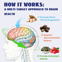 Ramuan Teh Penambah Daya Ingat Alami untuk Kecerahan Mental, Peningkatan Fokus & Perlindungan Sel Otak & Bahan-Bahan Premium