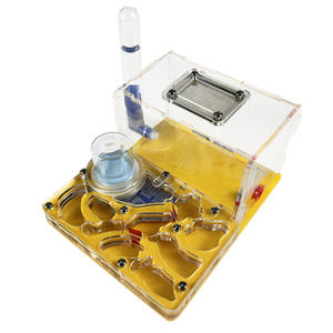 Nid de fourmis en plastique de remplacement, version étudiante, boîte d'élevage écologique pour animaux de compagnie - Product Image 5