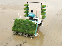 Machine de repiquage à haute efficacité 12.8HP 2ZGQ-825 transplanteur de semis de riz en vente