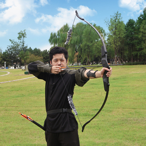 <span class=keywords><strong>Arco</strong></span> Ricurvo Piaoyu di Alta Qualità per Tiro <span class=keywords><strong>e</strong></span> Caccia all'Aperto, 20/30/40 Libbre, con Set di Accessori <span class=keywords><strong>e</strong></span> Frecce - Product Image 4