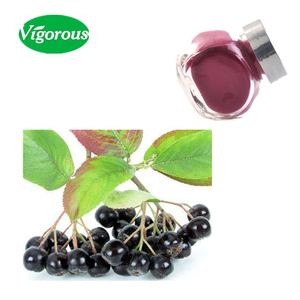 Polvo orgánico puro de <span class=keywords><strong>Aronia</strong></span> <span class=keywords><strong>melanocarpa</strong></span>, 15% de antocianinas, extracto de Chokeberry - Product Image 2